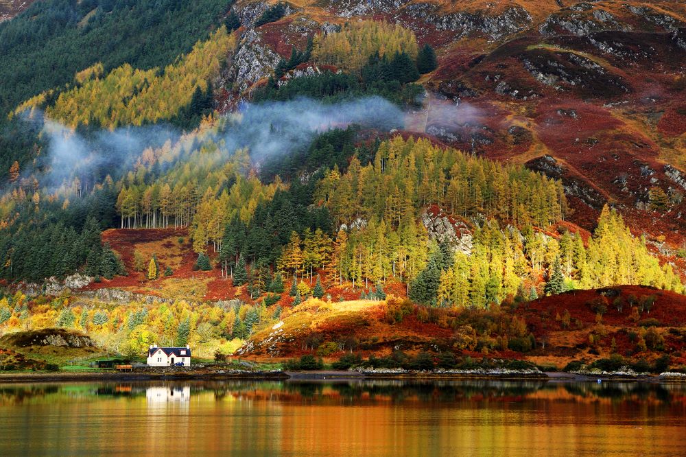 Autumn colours in Highlands Perthshire