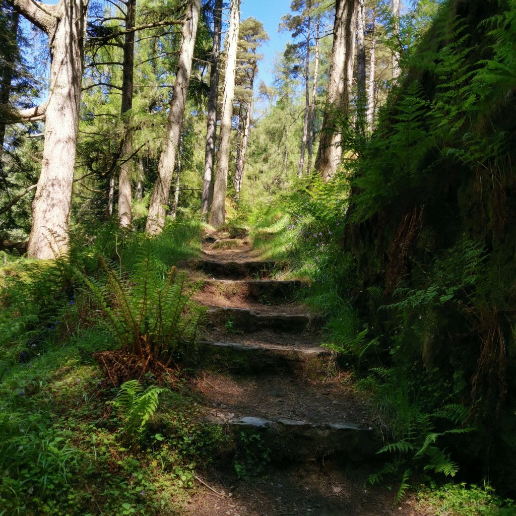 Pucks Glen Argyll's Secret Coast