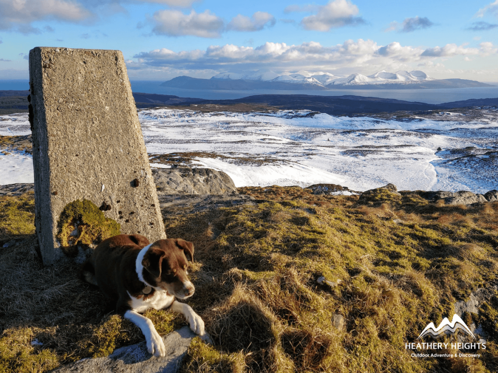 Arran from Kintyre, Heathery Heights