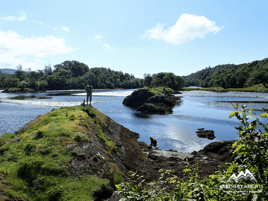 The Faery Isles, Knapdale, Heathery Heights (1)