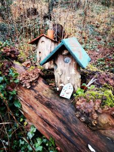 things to do black isle _Fairy Glen