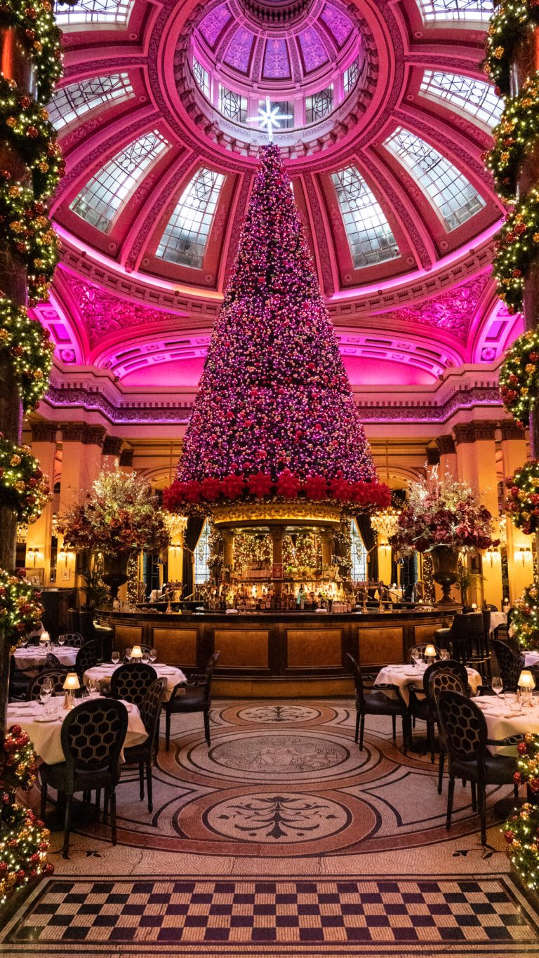 Grill Christmas Tree at the Dome